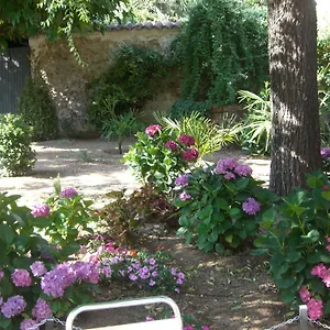 hotel-torres-arbucies.catalonia-hotels.com/