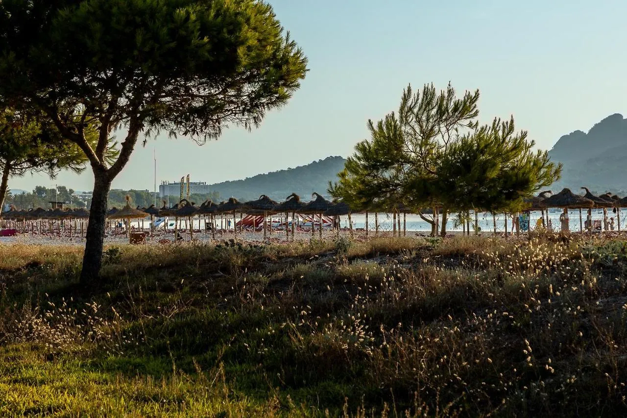 Apartments Playa Alcudia  Spain
